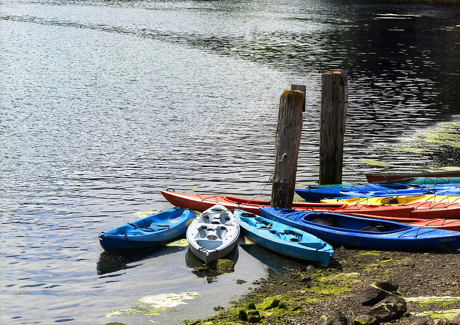 Boat Photograph - Colorful Kayaks by Julie Magers Soulen