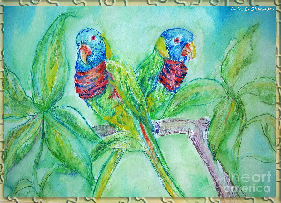 Bird Painting - Colorful Lorikeet Couple by M c Sturman
