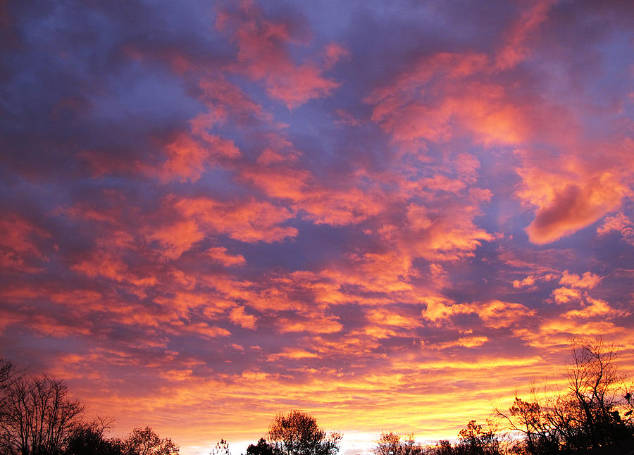 Colorful Morning Photograph by Laura Lanig - Fine Art America