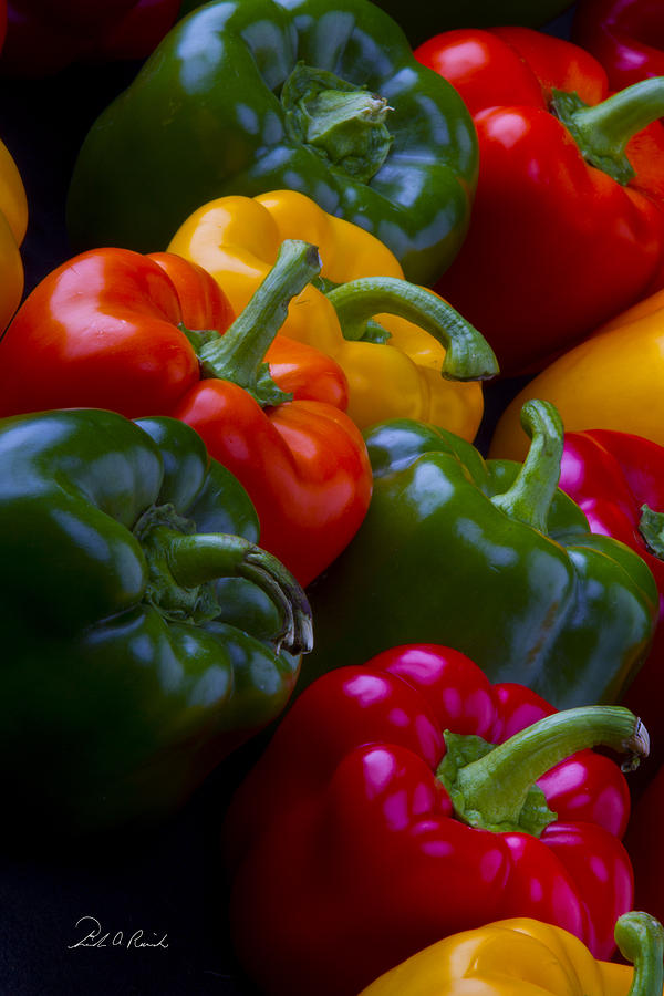 Colorful Peppers Photograph by Frederic A Reinecke