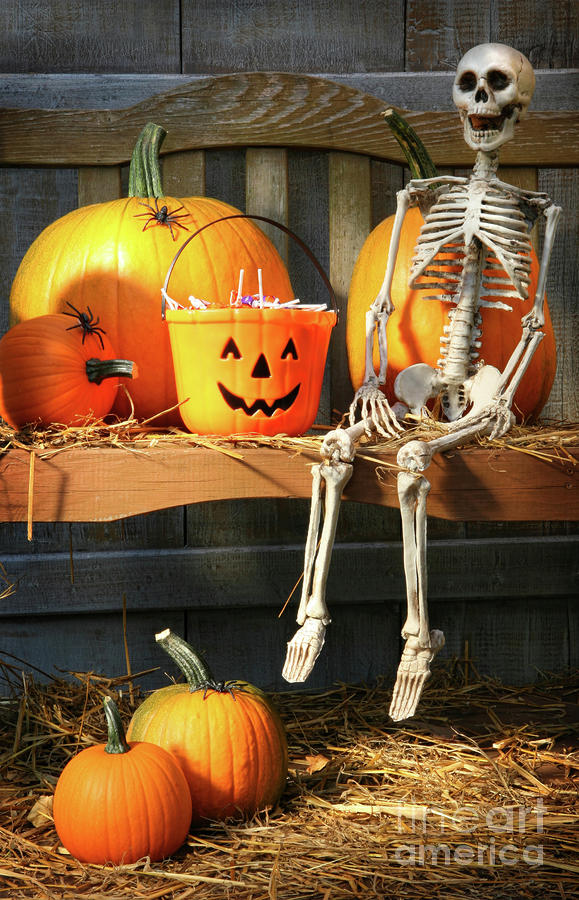 Fall Photograph - Colorful pumpkins and skeleton on bench by Sandra Cunningham
