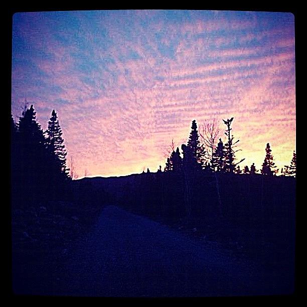 Tree Photograph - Colorful Sky In Clarenville  by Julia Norris
