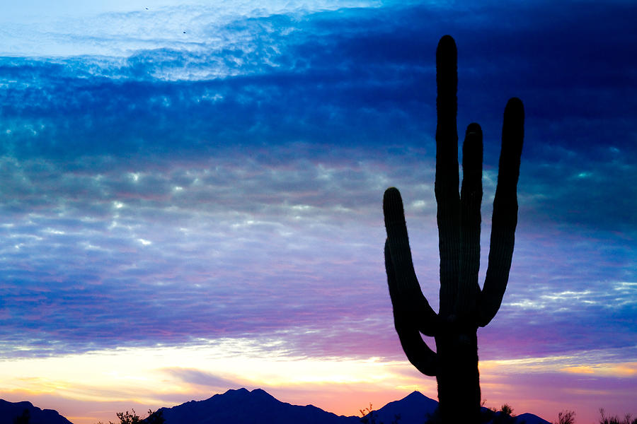 Colorful Southwest Desert Sunrise Photograph