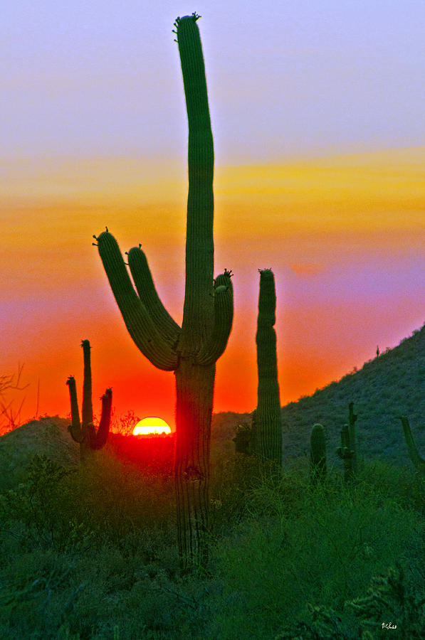 Colorful Sunset Photograph by Brian Lambert - Fine Art America