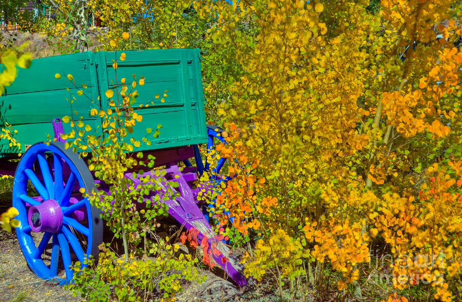 Colorful Wagon Photograph by Harry Strharsky