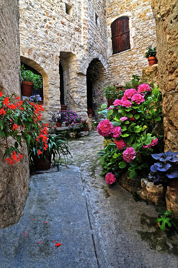 Colorful Walkway in Provence Photograph by Dave Mills