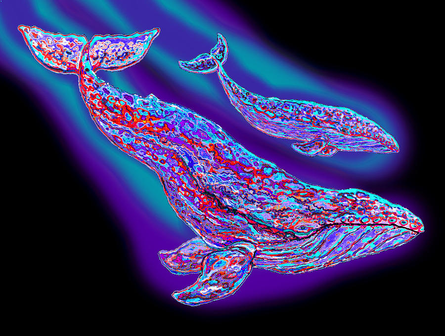 Whale Digital Art - Colorful Whales by Nick Gustafson