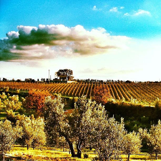 Toscana Photograph - Colori Di Toscana #tuscanygram by Tuscany Gram