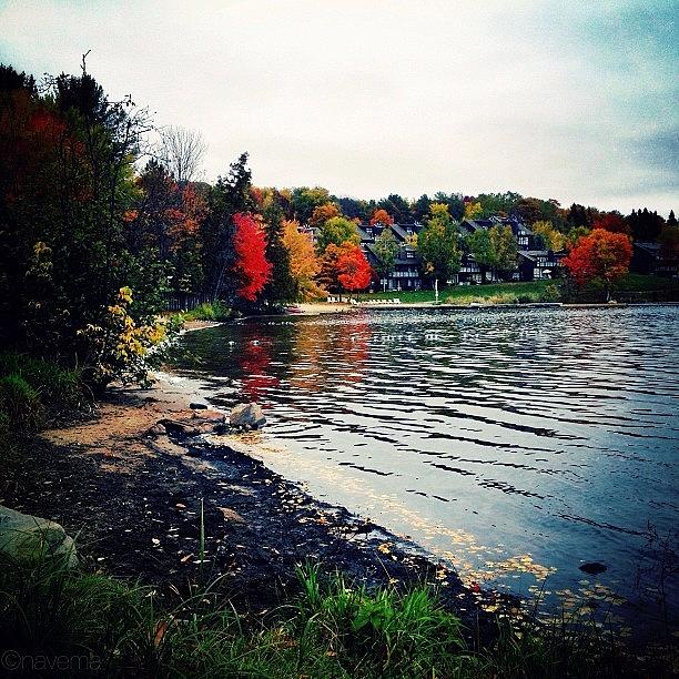 Fall Photograph - Colors Along The Shore by Natasha Marco