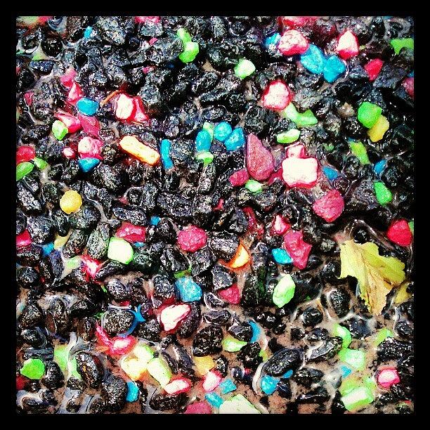 Pebbles Photograph - Colors! by Emma Holton