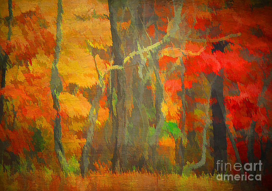 Abstract Photograph - Colors of Fall by Darren Fisher