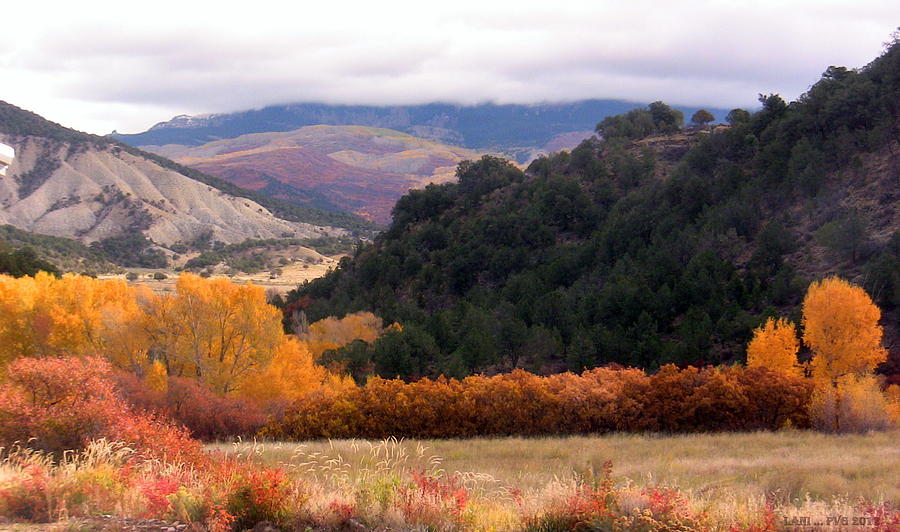 Colors of Fall Photograph by Lani Richmond Elvenia