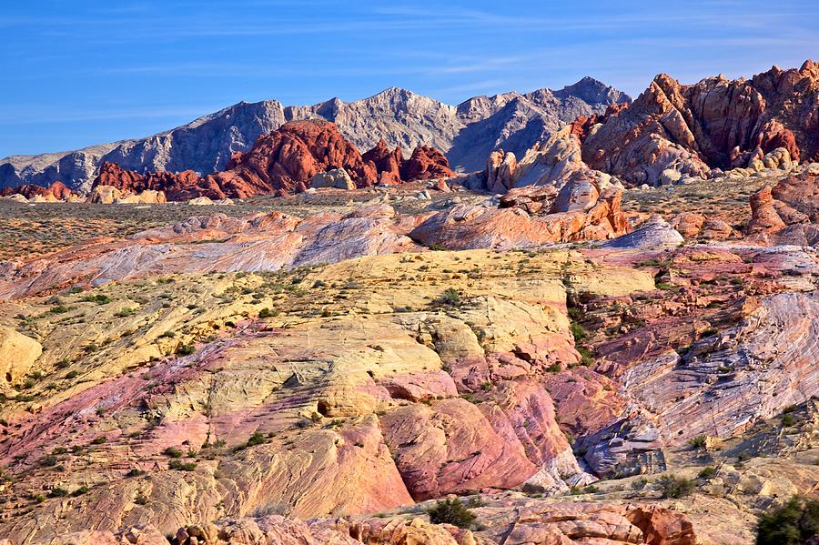 Colors of the Valley of Fire Photograph by Joseph Urbaszewski