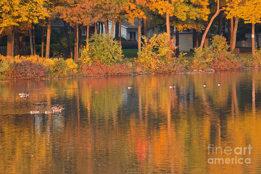 Colors to dive into Photograph by Christine Amstutz