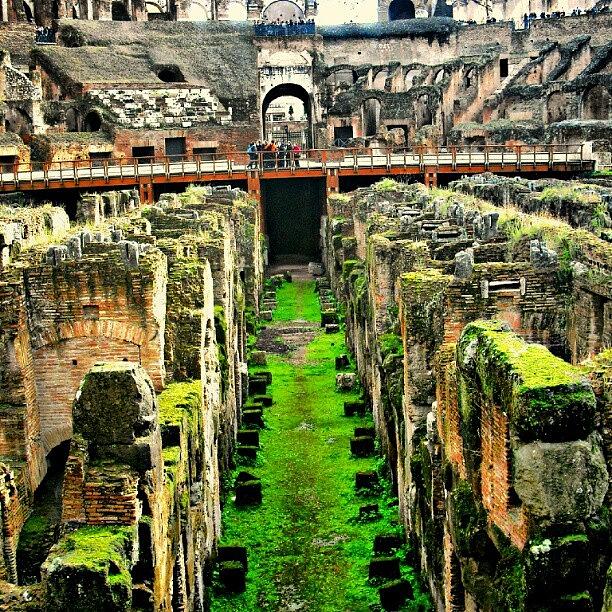 Colosseo Photograph - Colosseo Or Colosseum. No Filter by Sigit Pamungkas