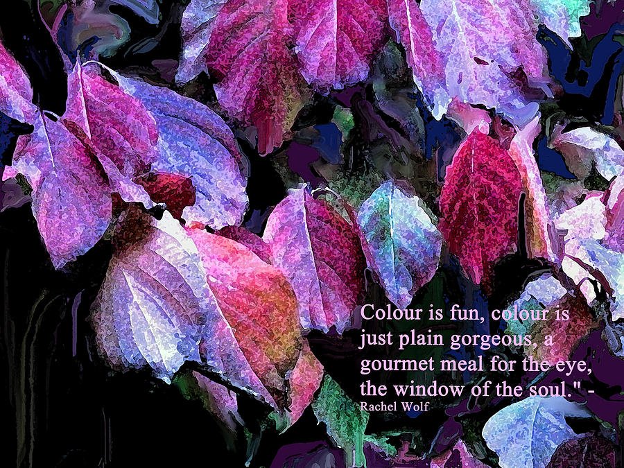 Colour is Fun Photograph by Ian  MacDonald