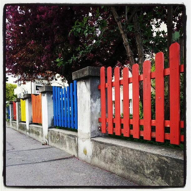 Colours Photograph - Coloured Fences #pictureoftheday  #life by Patrick Bentz