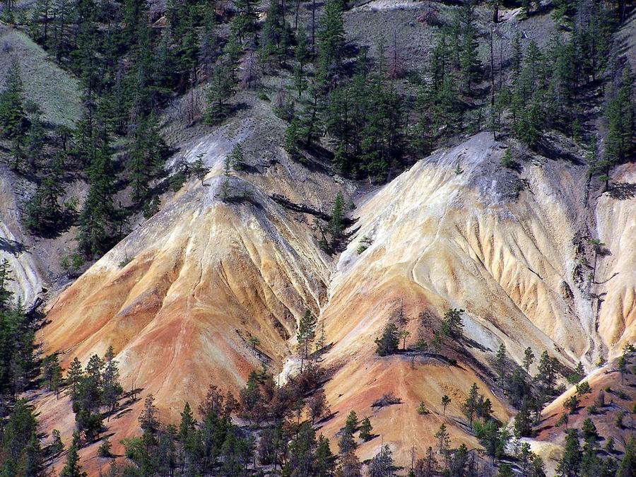 Coloured Mountain Side Photograph by Susan Saver | Fine Art America