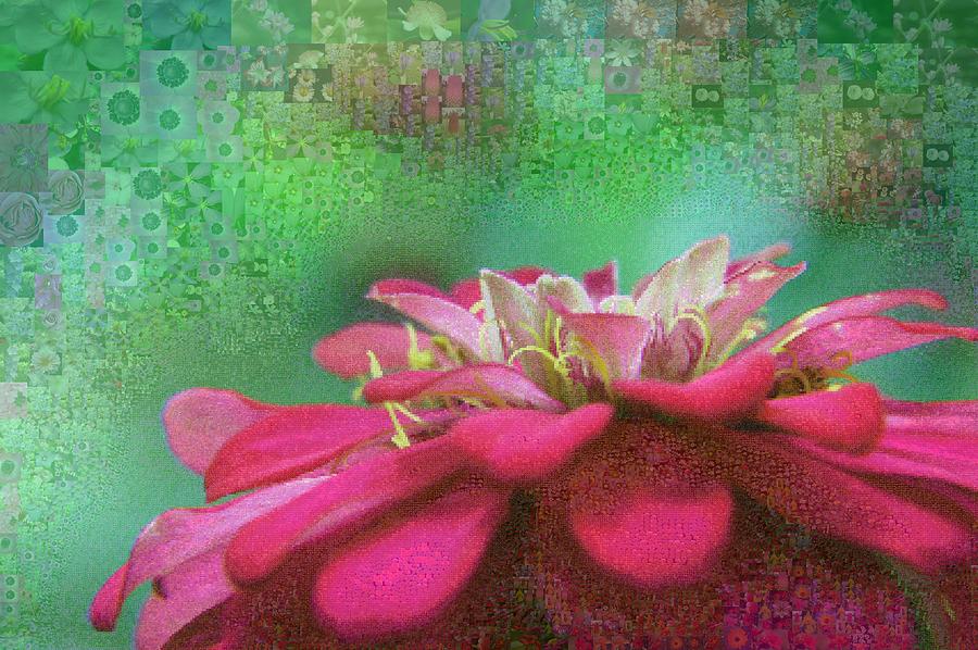 Lily Digital Art - Coloured Petals 41 by Chye Kwang Yan