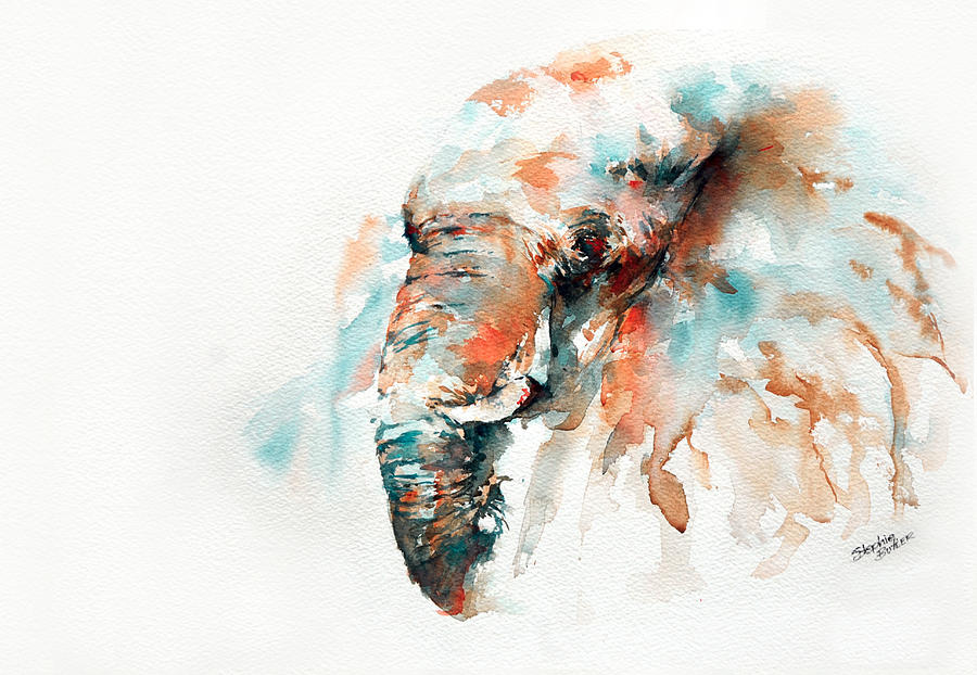 Wildlife Painting - Colours of Samburu by Stephie Butler