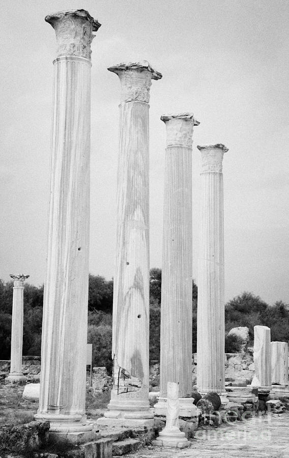 Columns In The Central Courtyard And Stoa Gymnasium And Baths In The ...