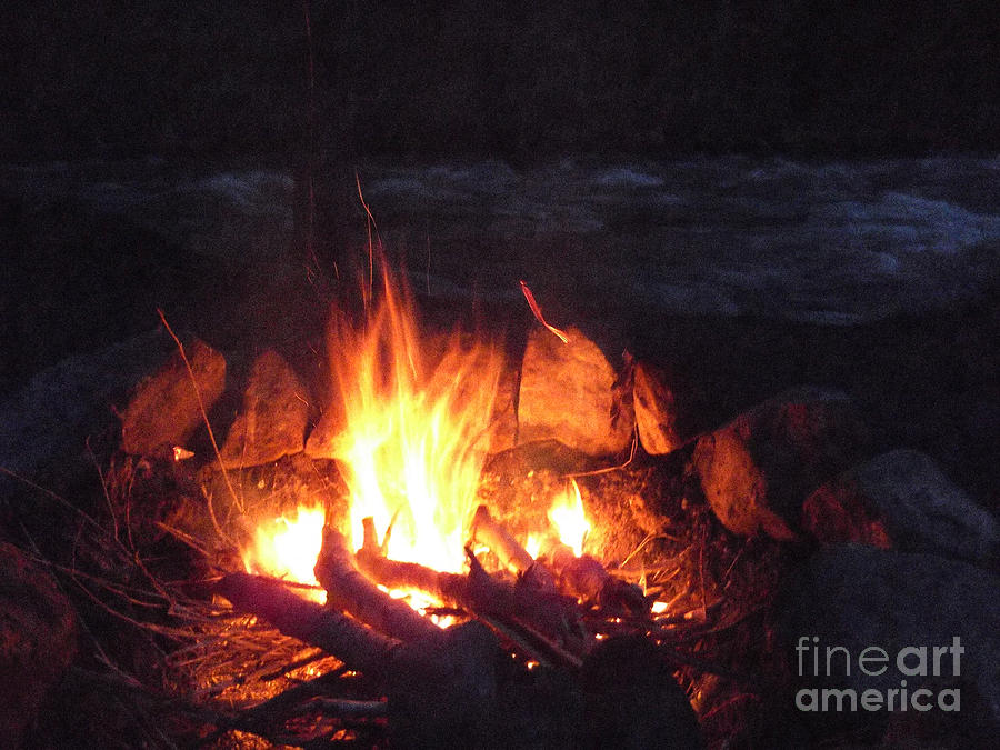 Nature Photograph - Come on Baby Light My Fire by Janeen Wassink Searles