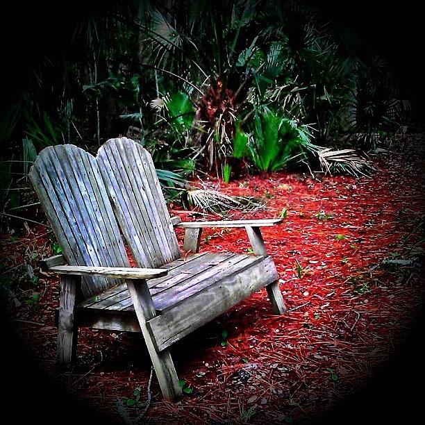 4 Photograph - Come Sit With Me - I Could Use The by Photography By Boopero