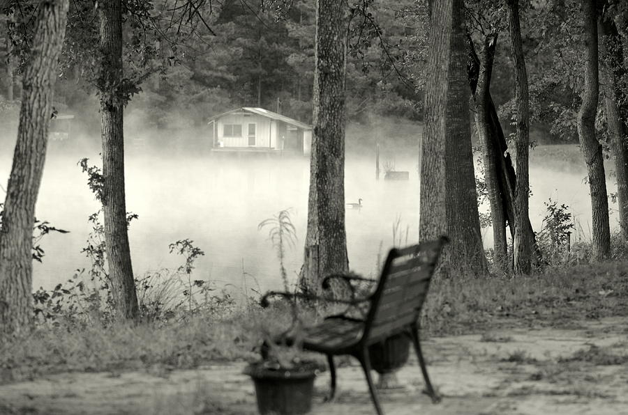 Come Sit With Me..... Photograph by Tanya Tanski