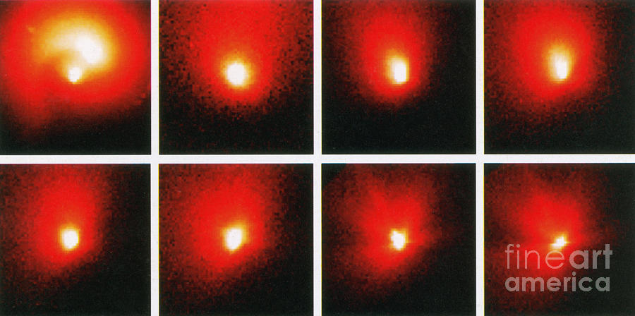 Comet Hale-bopp, 1995 Photograph by Science Source