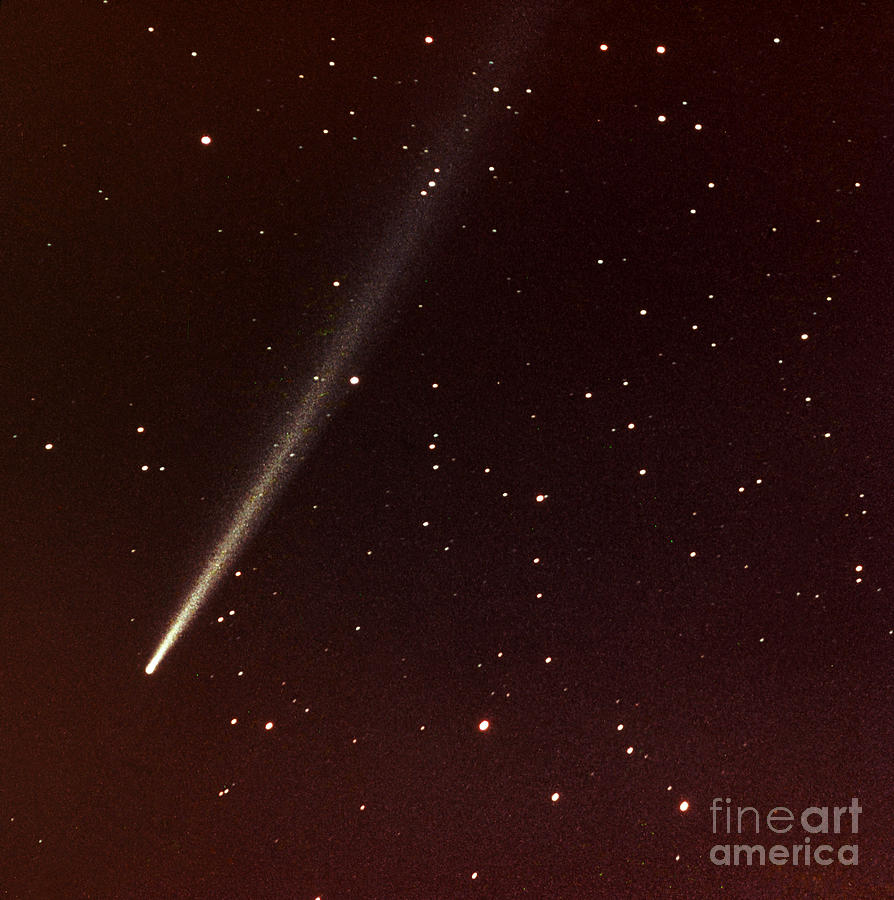 Comet Ikeya-seki Photograph by Science Source