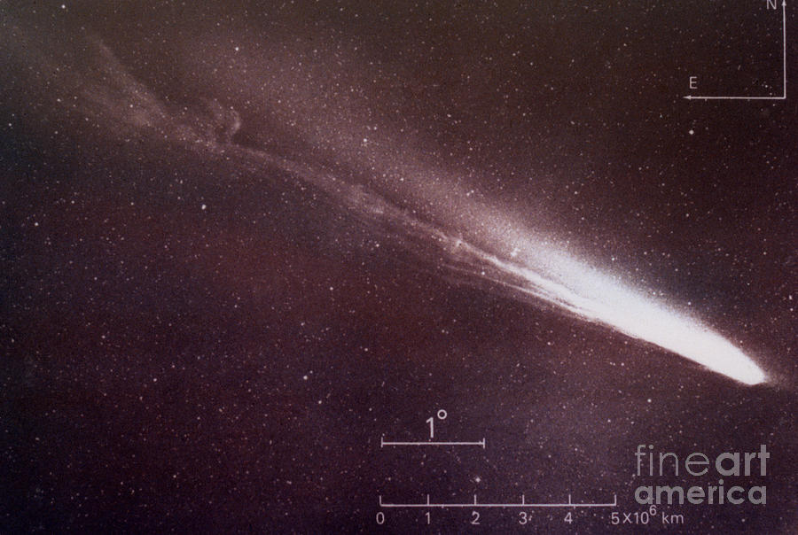 Comet Kohoutek Photograph by Science Source