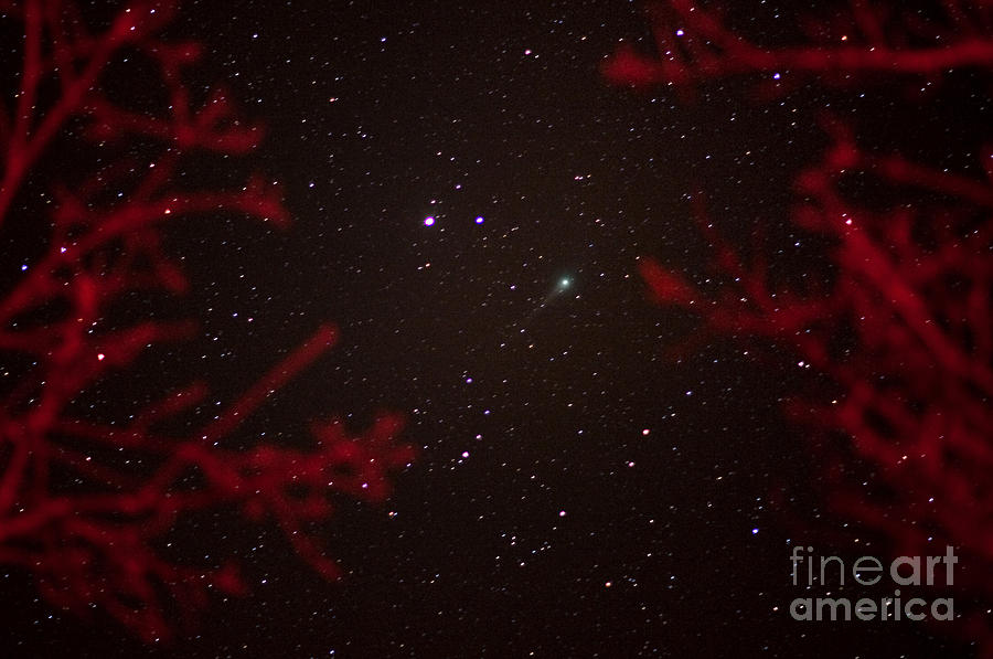 Comet Lulin Photograph by Nasa