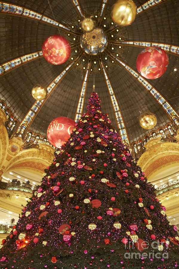 Commercial centers Christmas tree Photograph by Agusti Pardo Rossello