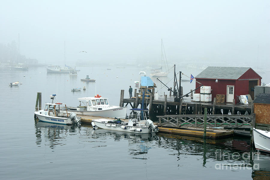 Boat Photograph - Commercial Lobster Dock by Ted Kinsman