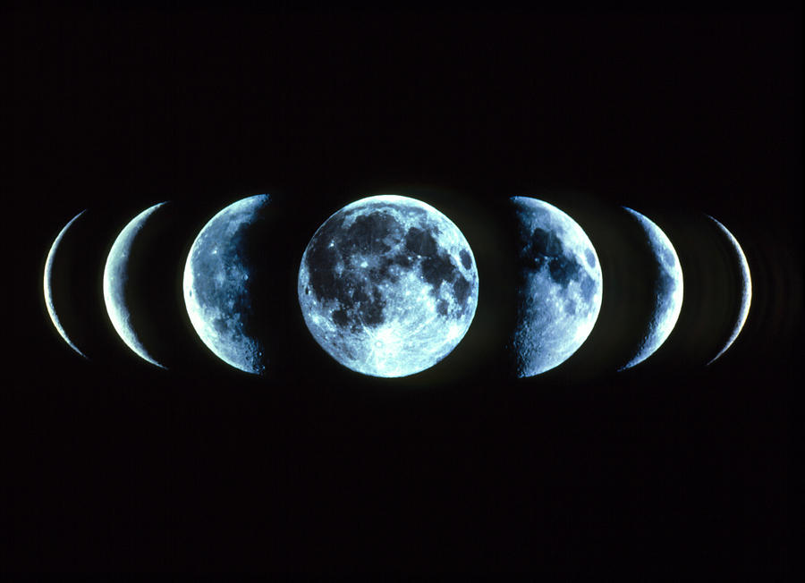 Composite Image Of The Phases Of The Moon Photograph by Dr Fred Espenak
