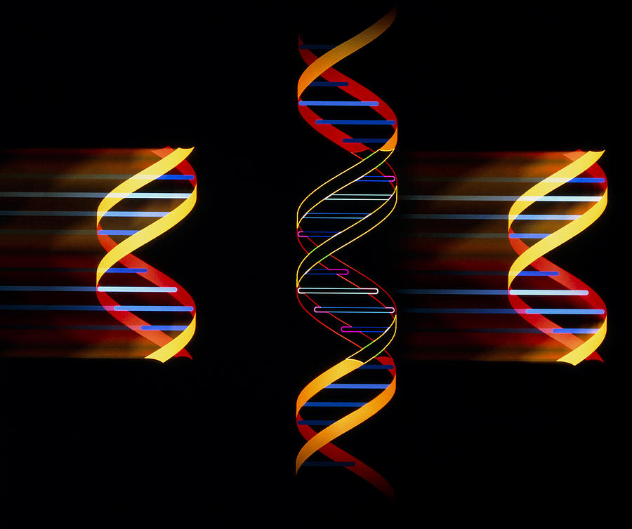 Dna Photograph - Computer Artwork Of Genetic Engineering by Laguna Design