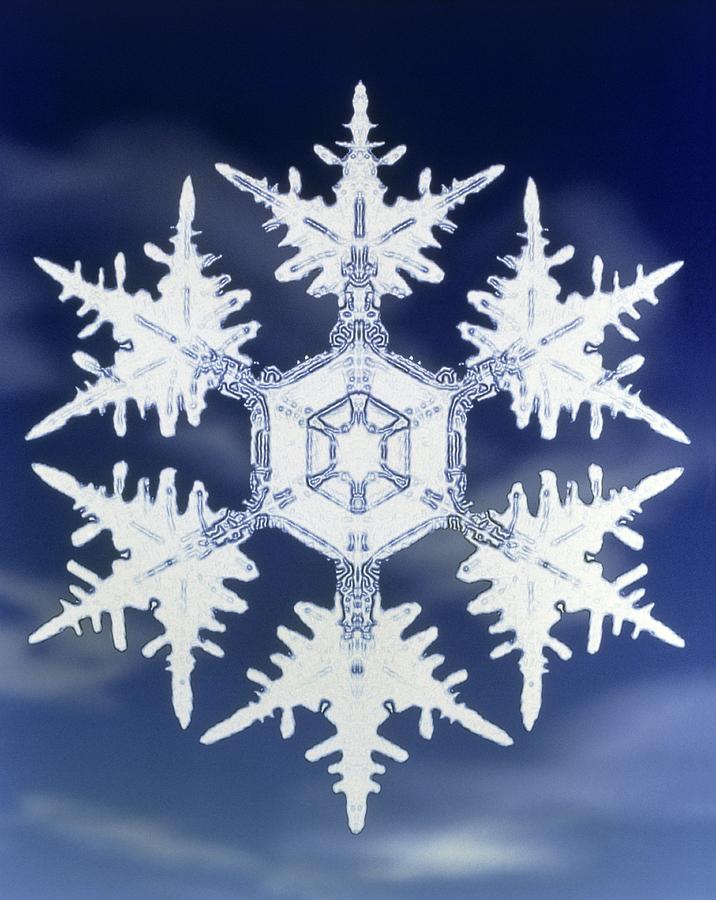 Winter Photograph - Computer-enhanced Image Of Snowflake On C by Mehau Kulyk Snowflake. Computer-enhaced Image Of A Snow