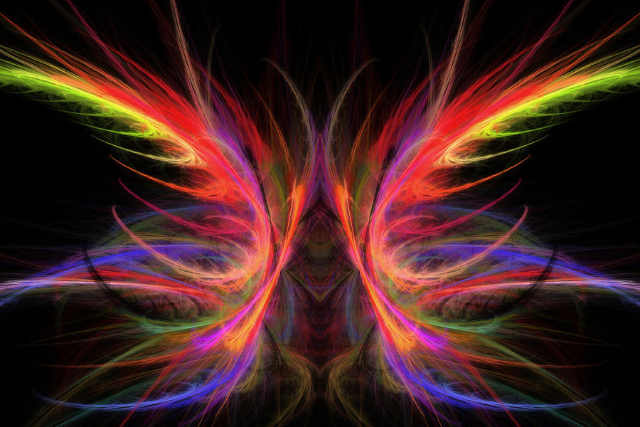 Butterfly Photograph - Computer Generated Abstract Butterfly Fractal Flame Art by Keith Webber Jr