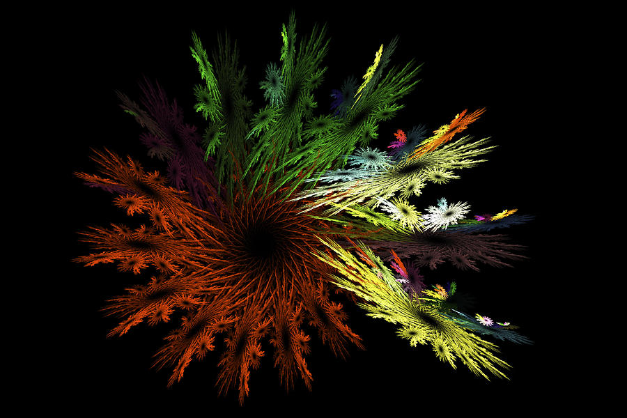 Computer Generated Red Yellow Green Abstract Fractal Flame black Digital Art by Keith Webber Jr