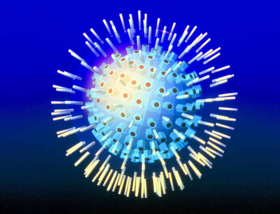 Computer Graphic Of A Herpes Simplex Virus Photograph by Pasieka - Pixels