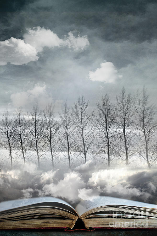 Conceptual image of open book with floating clouds and trees Photograph by Sandra Cunningham