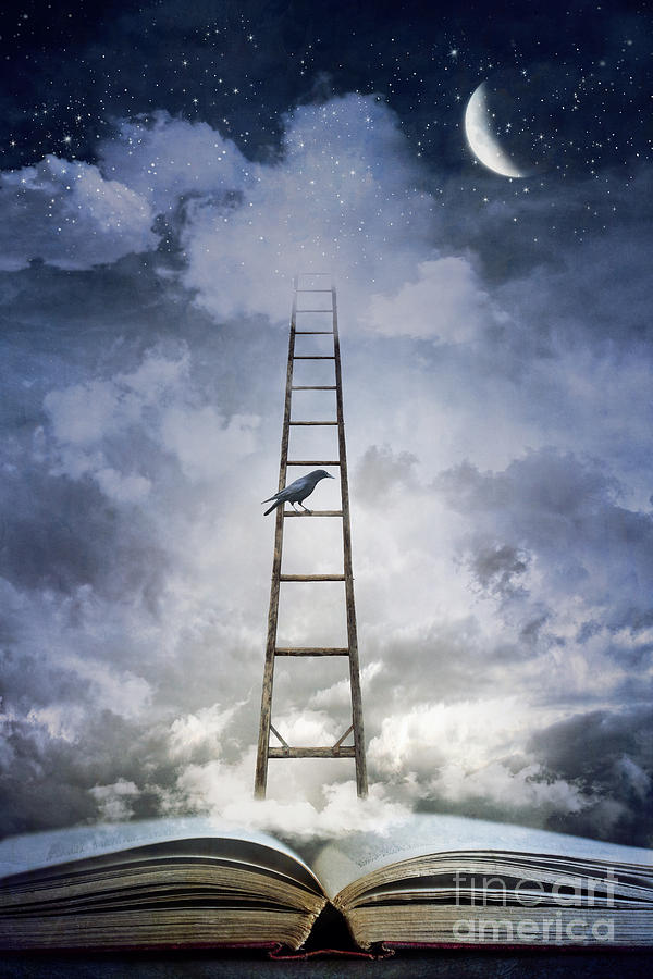 Tree Photograph - Conceptual image of open book with ladder and floating clouds by Sandra Cunningham