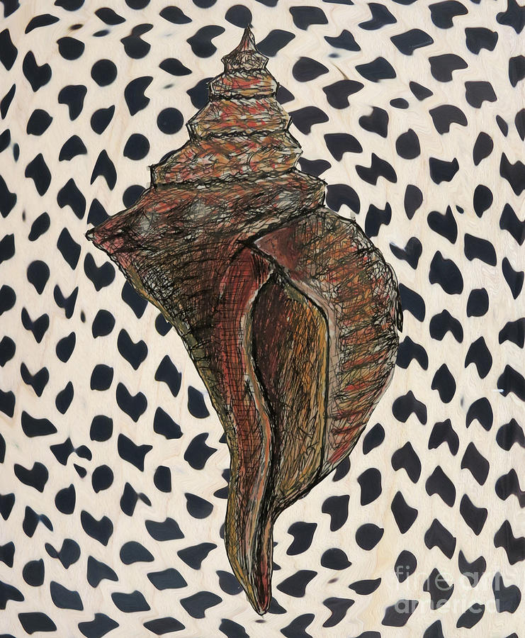 Conch Shell Drawing by Patricia Januszkiewicz