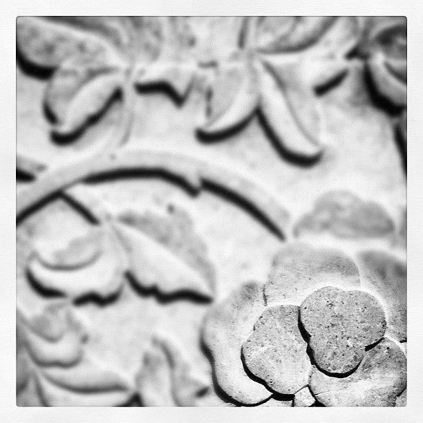 Flowers Still Life Photograph - #concrete #flower #detail #blackandwhite by Rachel Boyer 