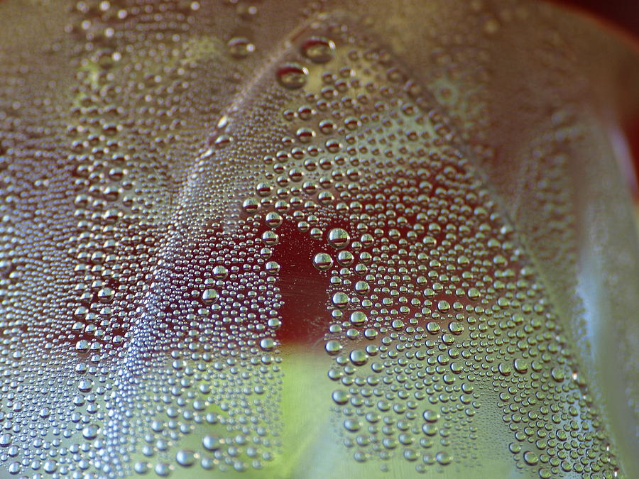 Condensation Photograph by Jeffrey Peterson