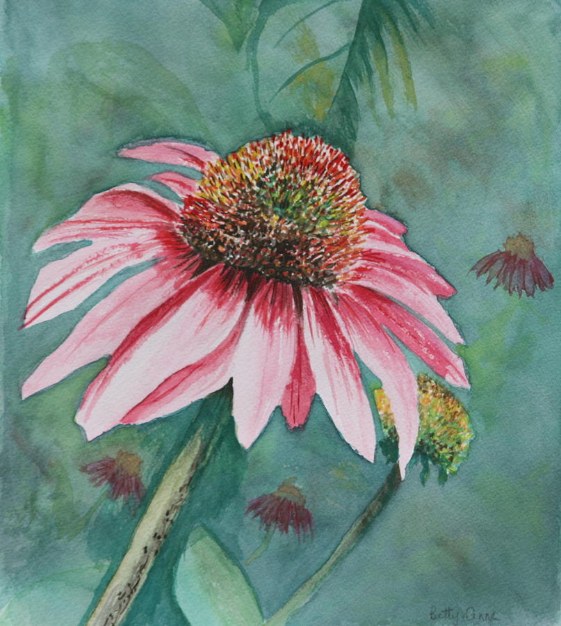 Cone flower Painting by Betty-Anne McDonald