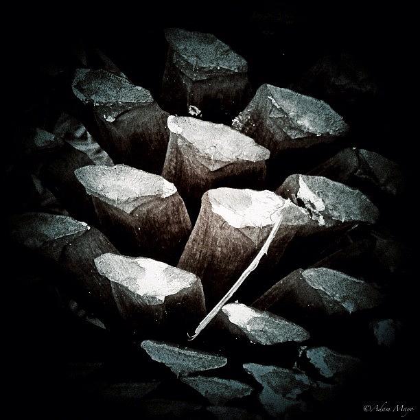 Droid Photograph - Cone Of Pine - Ouch! #pinecone by Photography By Boopero