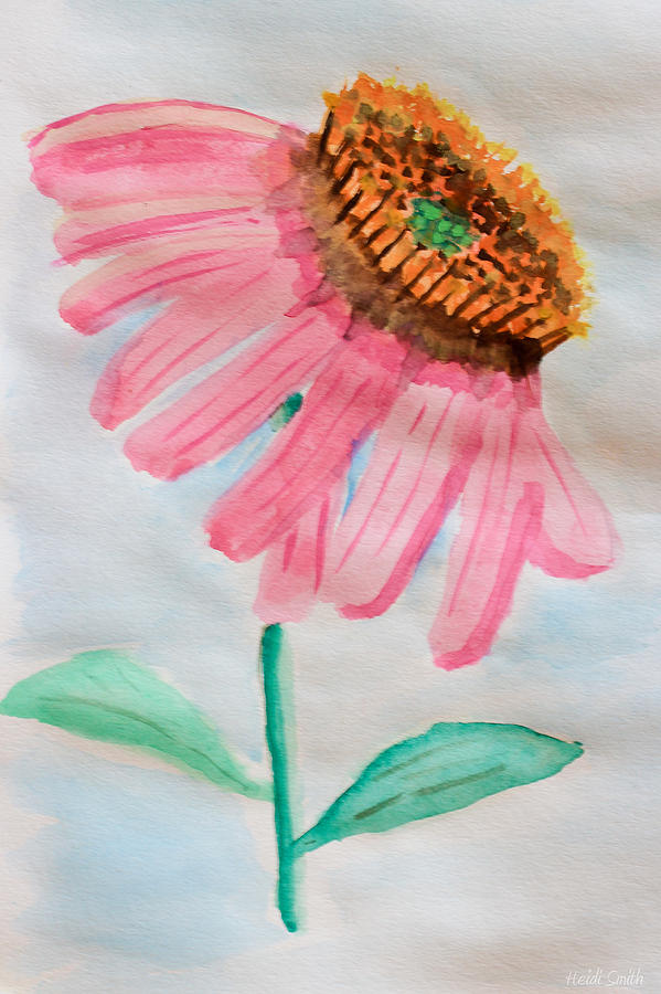 Coneflower - Watercolor Painting by Heidi Smith