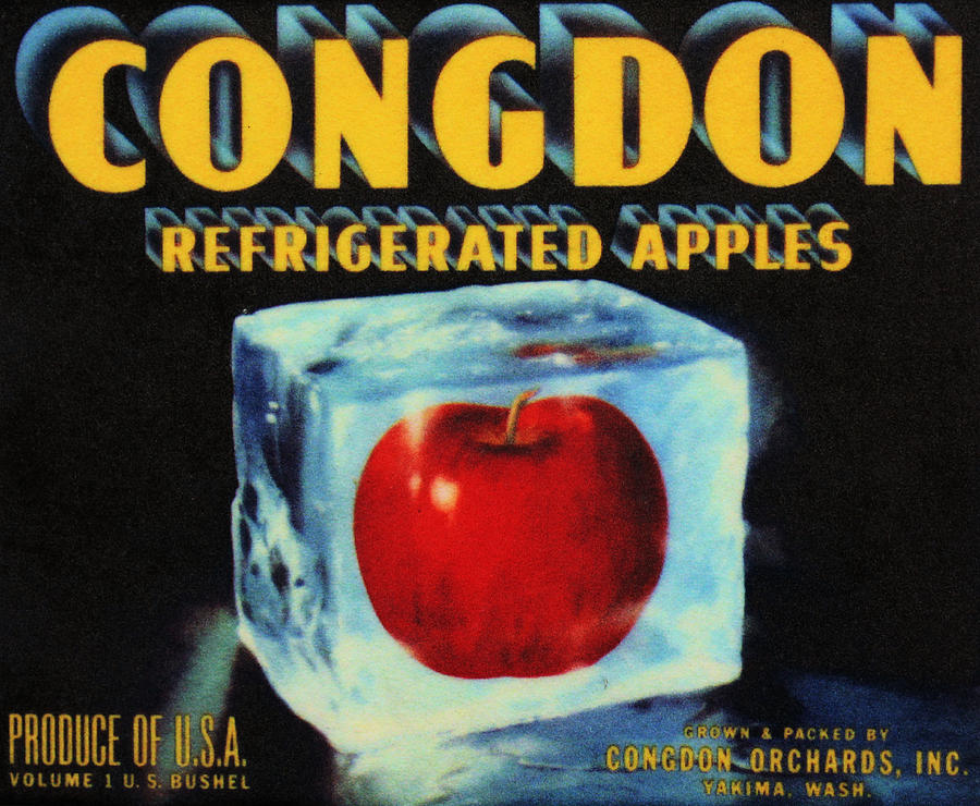 Congdon Refrigerated Apples Photograph by Kristin Elmquist