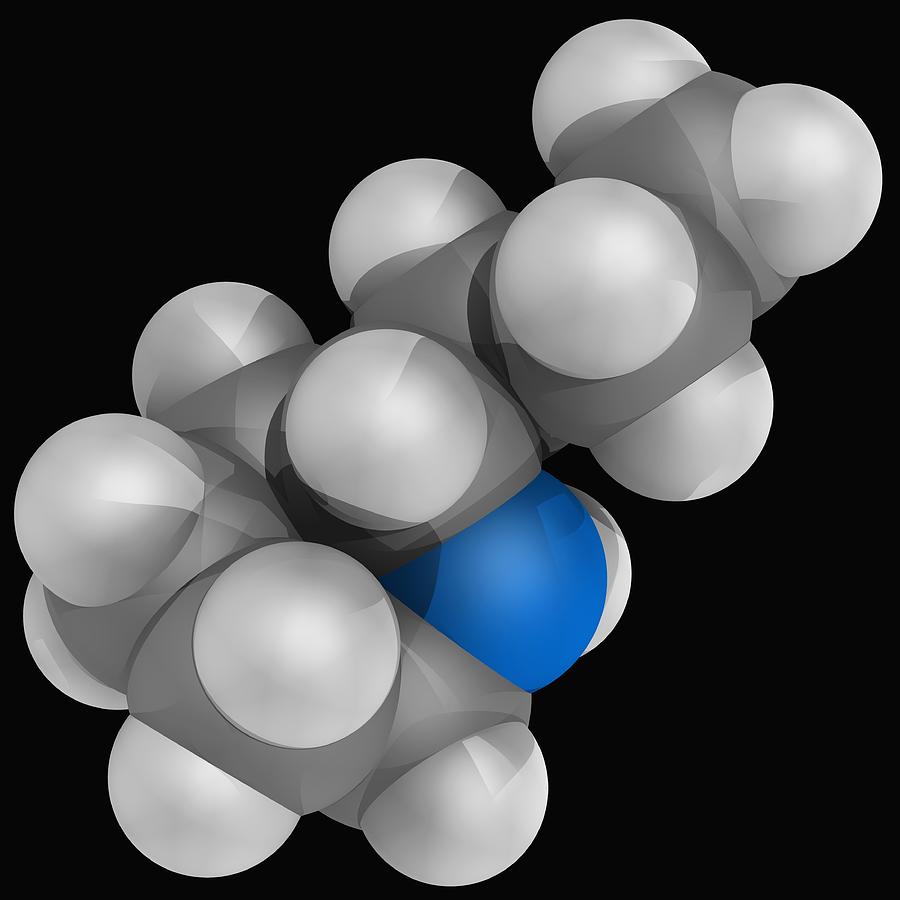 Coniine Molecule Digital Art by Laguna Design